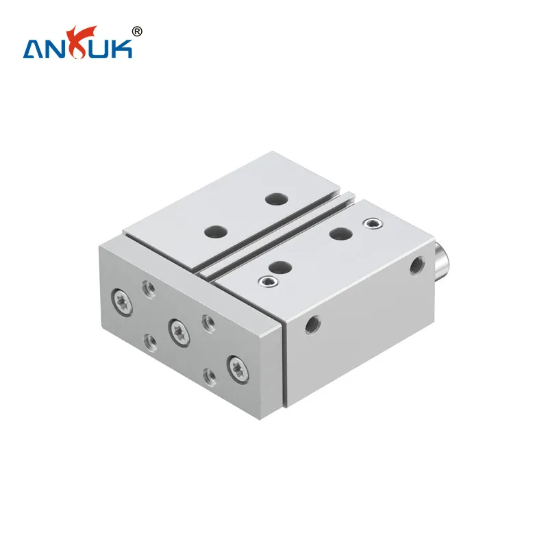 DFM Guided Rod Cylinder